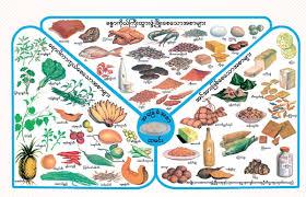 စားတတ်မှ ကျန်းမာ