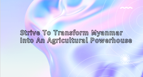 Strive to transform Myanmar into an agricultural powerhouse