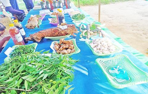 ပိုးမွှားရောဂါကြိုတင်ကာကွယ်ရေး သဘာဝပိုးပြေးဆေးပြုလုပ်သုံးစွဲပေး