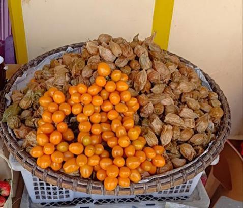 ဆေးဖက်ဝင်ဗောက်သီး၏ ကျန်းမာရေးကောင်းကျိုးများ