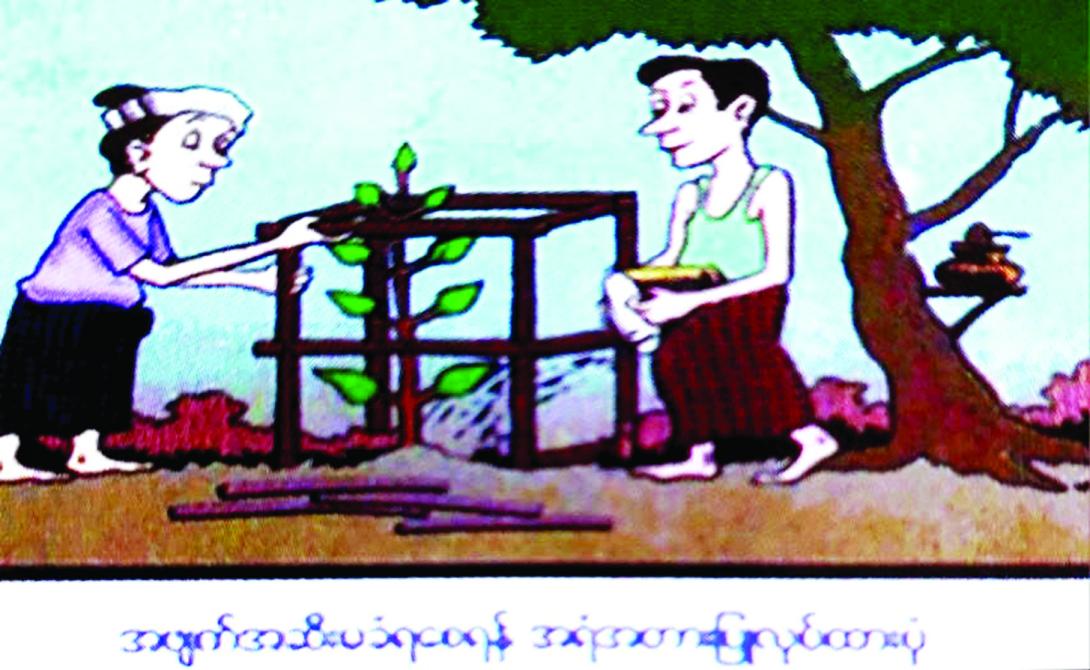 သစ်ပင်စိုက်လျှင် ရှင်သန်ချင် လိုက်နာကြဖို့ အသိယှဉ်
