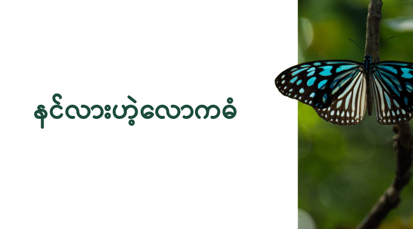 နင်လားဟဲ့လောကဓံ