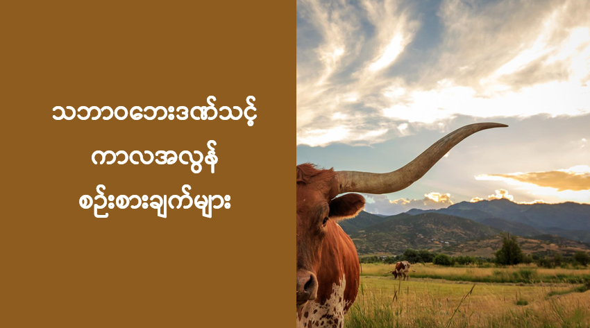 သဘာဝဘေးဒဏ်သင့်ကာလအလွန် စဉ်းစားချက်များ