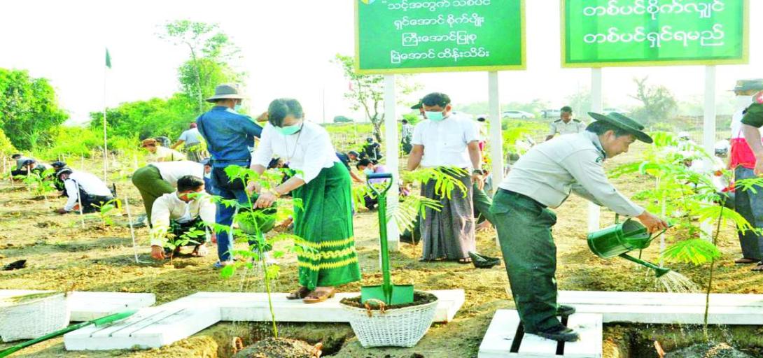  တစ်သက်လုံးစိတ်ချမ်းသာဖို့ သစ်ပင်စိုက်ကြစို့