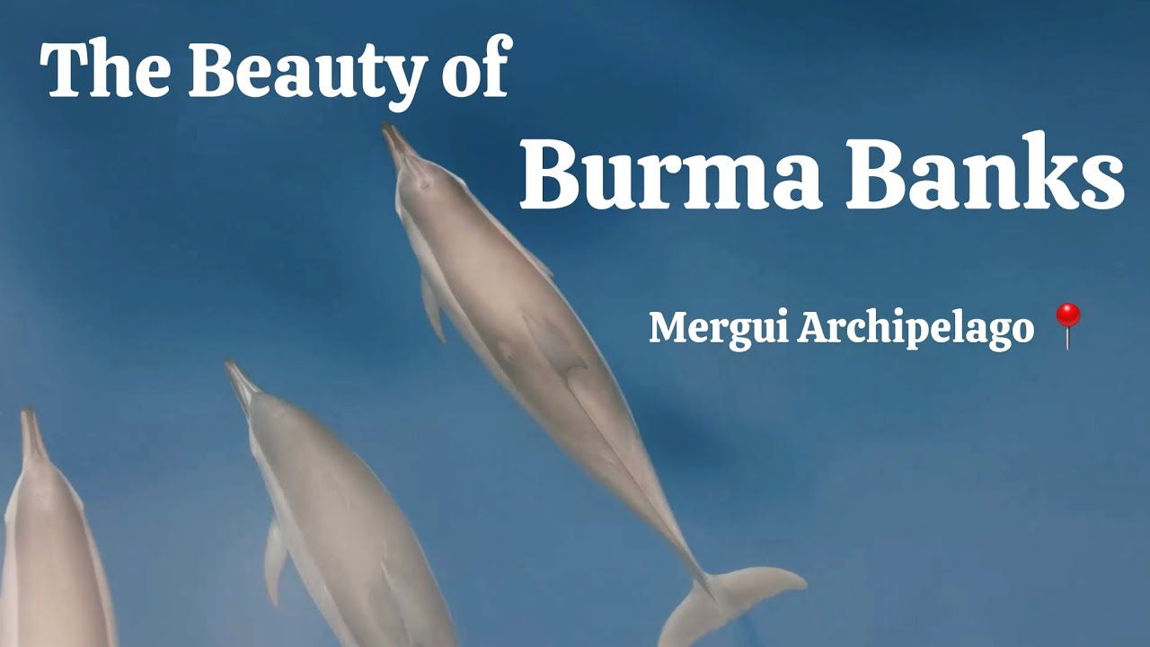 Dive into the beauty of the Mergui Archipelago Burma Bank, Myanmar