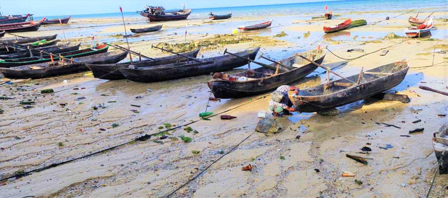 Sea Gypsies see high capture of squid in sea