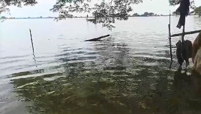 No flood risk for Yangon, Ayeyawady fish ponds in July unless extreme weather hits