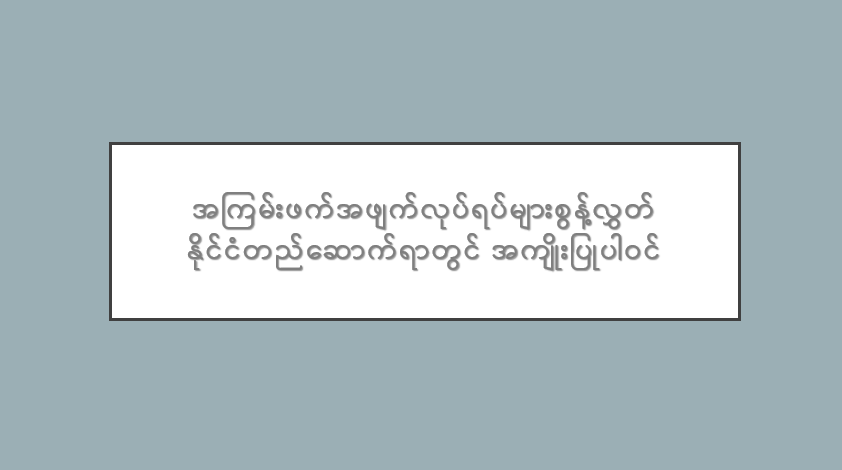 အကြမ်းဖက်အဖျက်လုပ်ရပ်များစွန့်လွှတ် နိုင်ငံတည်ဆောက်ရာတွင် အကျိုးပြုပါဝင်