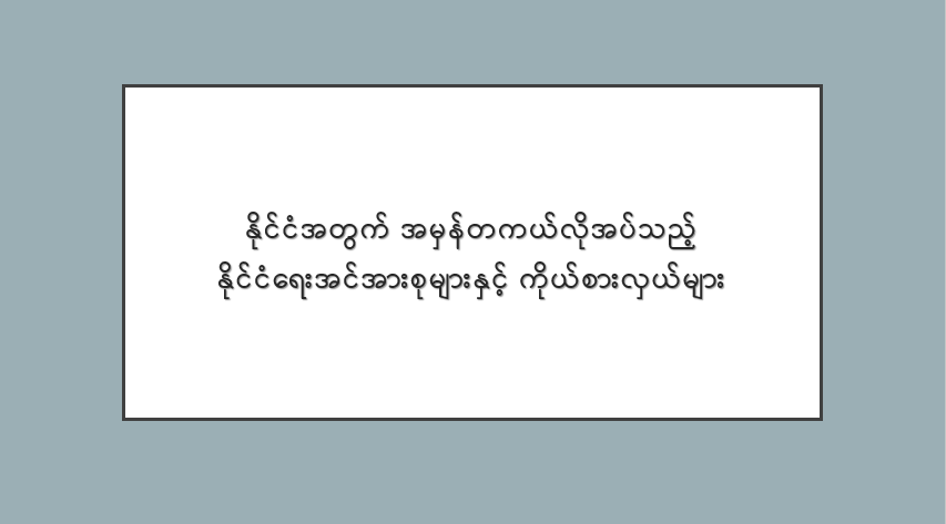 နိုင်ငံအတွက် အမှန်တကယ်လိုအပ်သည့် နိုင်ငံရေးအင်အားစုများနှင့် ကိုယ်စားလှယ်များ